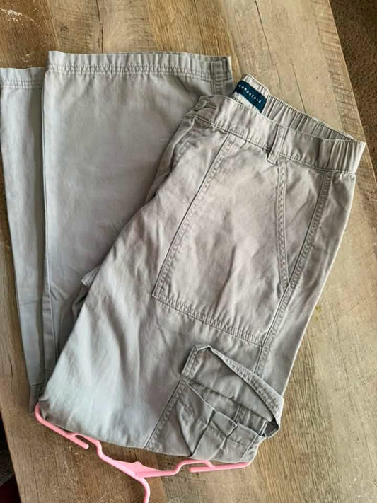 AERO cargo pants